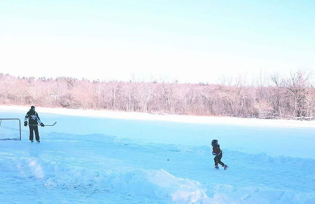 Wildwood Cottages - Foto 37