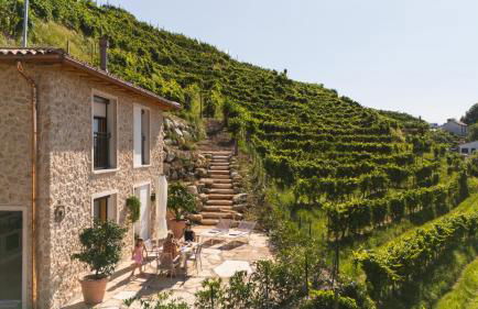 IL Pollaio - Foto 23