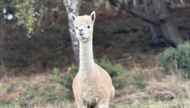 Galactic getaways MARS - Photo 4