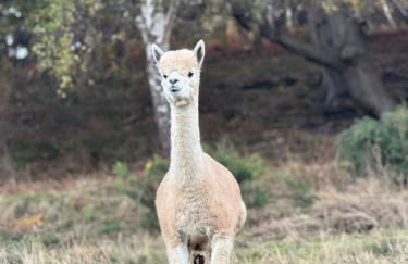 Galactic getaways MARS - Foto 4