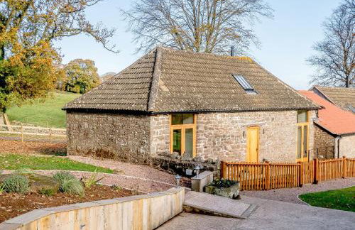 Pipistrelle - Uk30758 - Photo 21