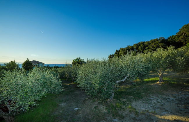 Kastro Kyllini - Photo 30