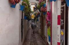 Apartamento Flor de Córdoba - Foto 24