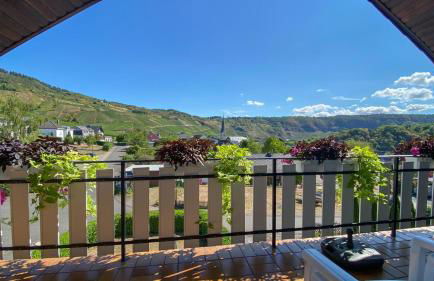 Ferienweingut Jürgen Beth - Foto 9