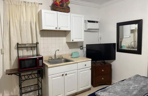 My Garden in Miami Florida - Photo 13