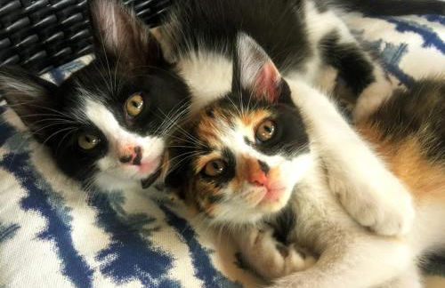 Casita Azahar Andalucia - Photo 36