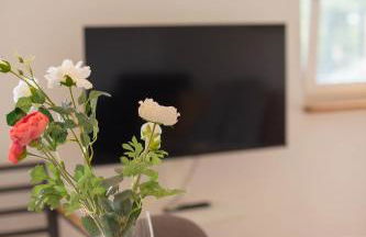 Schön hier - Foto 12