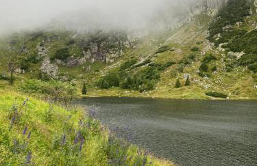 Grudza83 Bikepoint - Foto 37