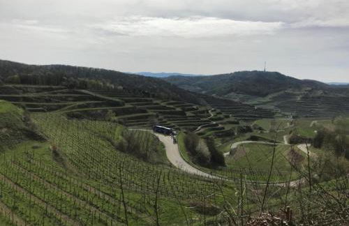 Ferienwohnung Am Marktplatz in Herbolzheim - Foto 25
