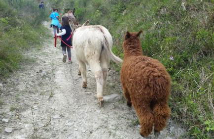 Agriturismo Il Pagliaio - Foto 56