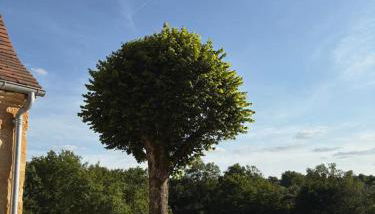 Gîte Le Clouvillou - Foto 4, Garden view