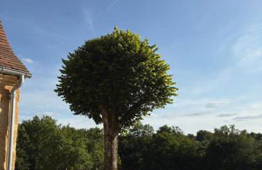 Gîte Le Clouvillou - Foto 4