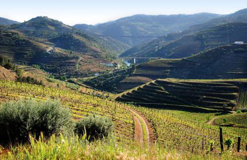 Casa Oliveiras do Douro - Foto 28