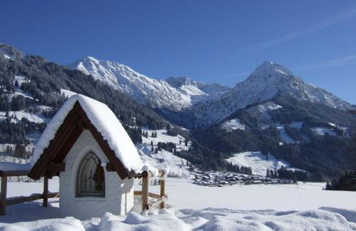 Hornblick FEWO- ab Mai freie Fahrt mit Bergbahnen - Foto 14