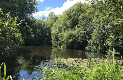 Peaceful, comfortable retreat with pool - Foto 47