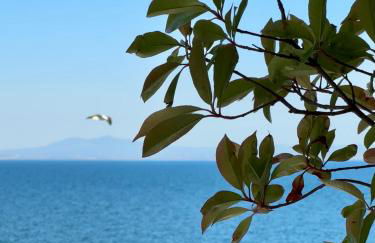 Filoxenia Paralia - Foto 48