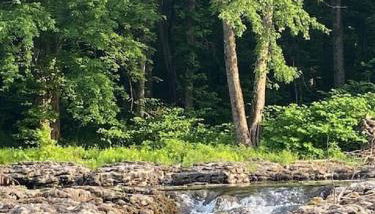 Murphys Law Inn 7 - Foto 2