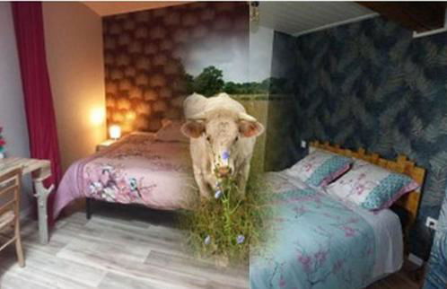 Escapade à la campagne - Foto 1