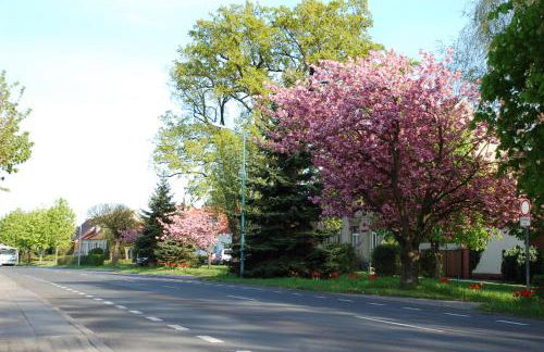 Ferienwohnung Kühl - Foto 19