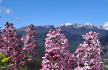 Gite La Grangette de Pauline - Foto 10