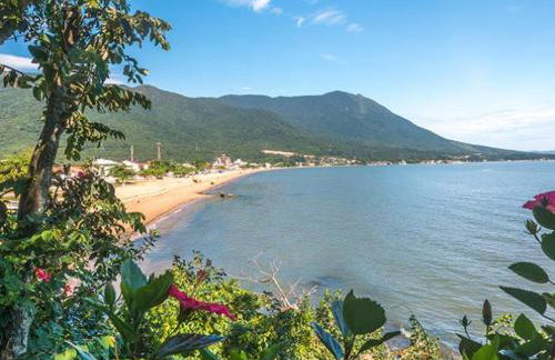 Seu apartamento na Praia - Photo 1