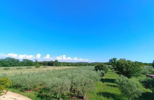 Apartman Ika Umag - Photo 8