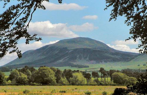 Bracken Log Cabin - S4468 - Foto 8
