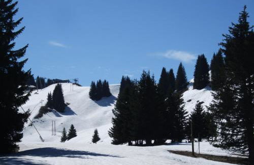 Chalet montagne 11 p Grand Massif 100 m télécabine - Photo 16