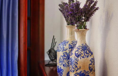 Quinta do Regalo - Foto 38