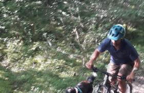 Les gites de Pétrocoriis - Boulazac Périgueux - Foto 50