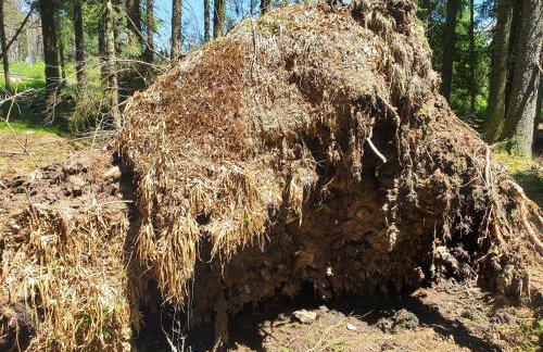 Haus Bergblick - Foto 80