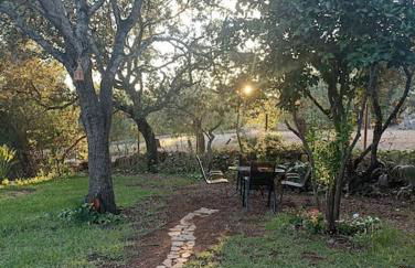 Finca SAlzinar - Foto 34