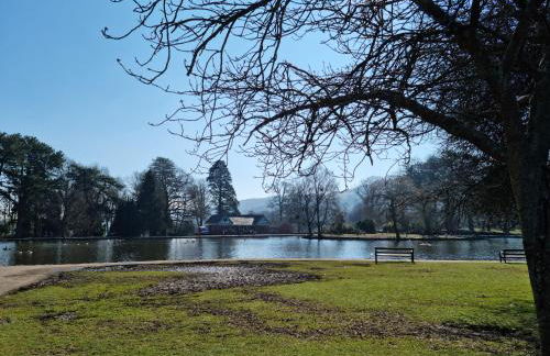 Dare Valley Cottage Ex miners cottage Near Zip World Pen y fan Waterfalls - Photo 27