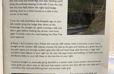 Bryntirion Farmhouse Apartment with Hot Tub - Foto 34