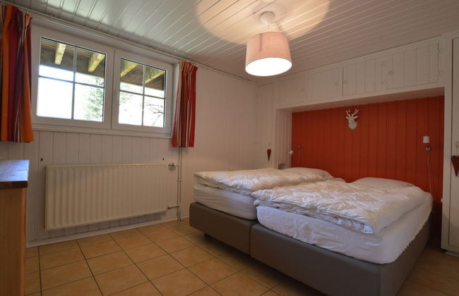 Malmedy Nature & Sauna Stay - Foto 22