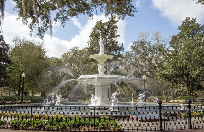 Southern Belle Skyline - Foto 19