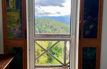 Klimatyczny dom z widokiem na Babią - kominek i ogrodzenie - Foto 7