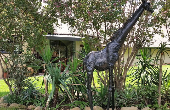 Pine Tree Lodge - Foto 32