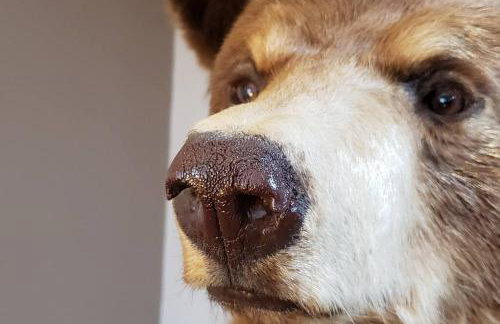 Hot Tub-Mountain View-Secluded-Entire Private Floor - Foto 10