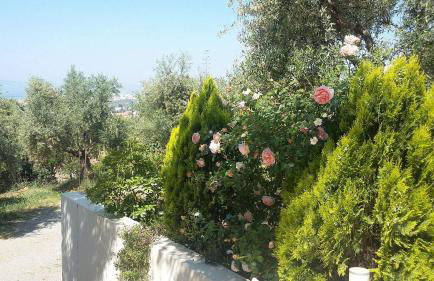 Agriomata Vergas Apartments - Photo 134