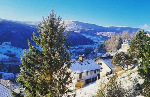 Ferienwohnung Panter- Traumaussicht im Schwarzwald - Foto 15