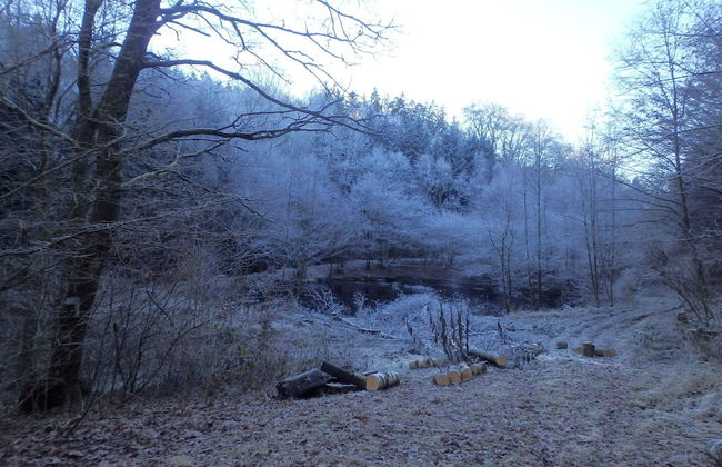 Modern Holiday Home in Eifel With Sauna - Foto 35