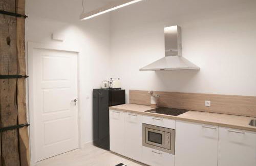 NUEVO Katu Kale Apartamentuak CENTRO HISTORICO - Foto 59