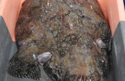 Maison Rouge - Foto 33