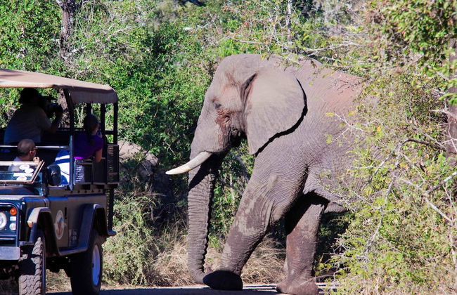 17 Manzini Holiday Resort - Foto 22