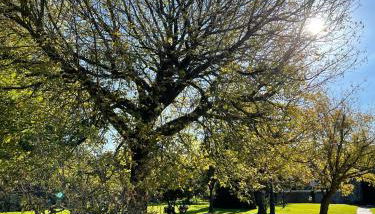 La Solana de Mogro - Foto 3, Garden