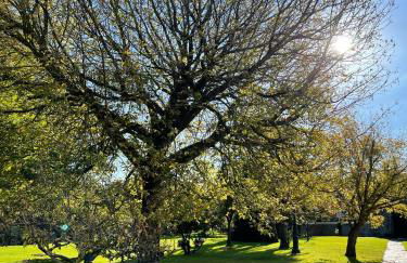 La Solana de Mogro - Foto 3