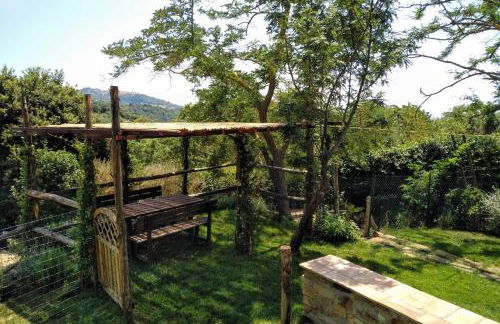 PODERE TORRICELLE 69B Pancole Gr, seaview infinity pool, jacuzzi, sauna, exclusive villa with 2 bedrooms for 4 - If you total 5 or 6 people there is an independent suite in main villa with private ensuite bathroom, kitchenette and garden dining area - Foto 69