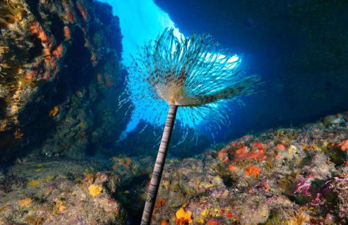 Casa Mariella - Foto 37