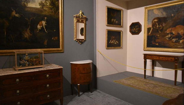 Exploring the museum